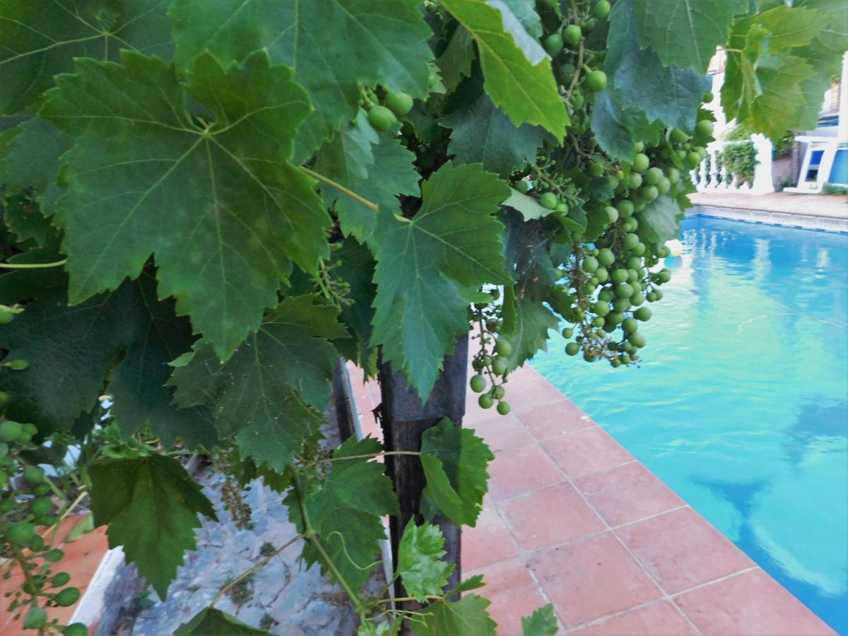 Bungalow Marbella  Bagian luar foto